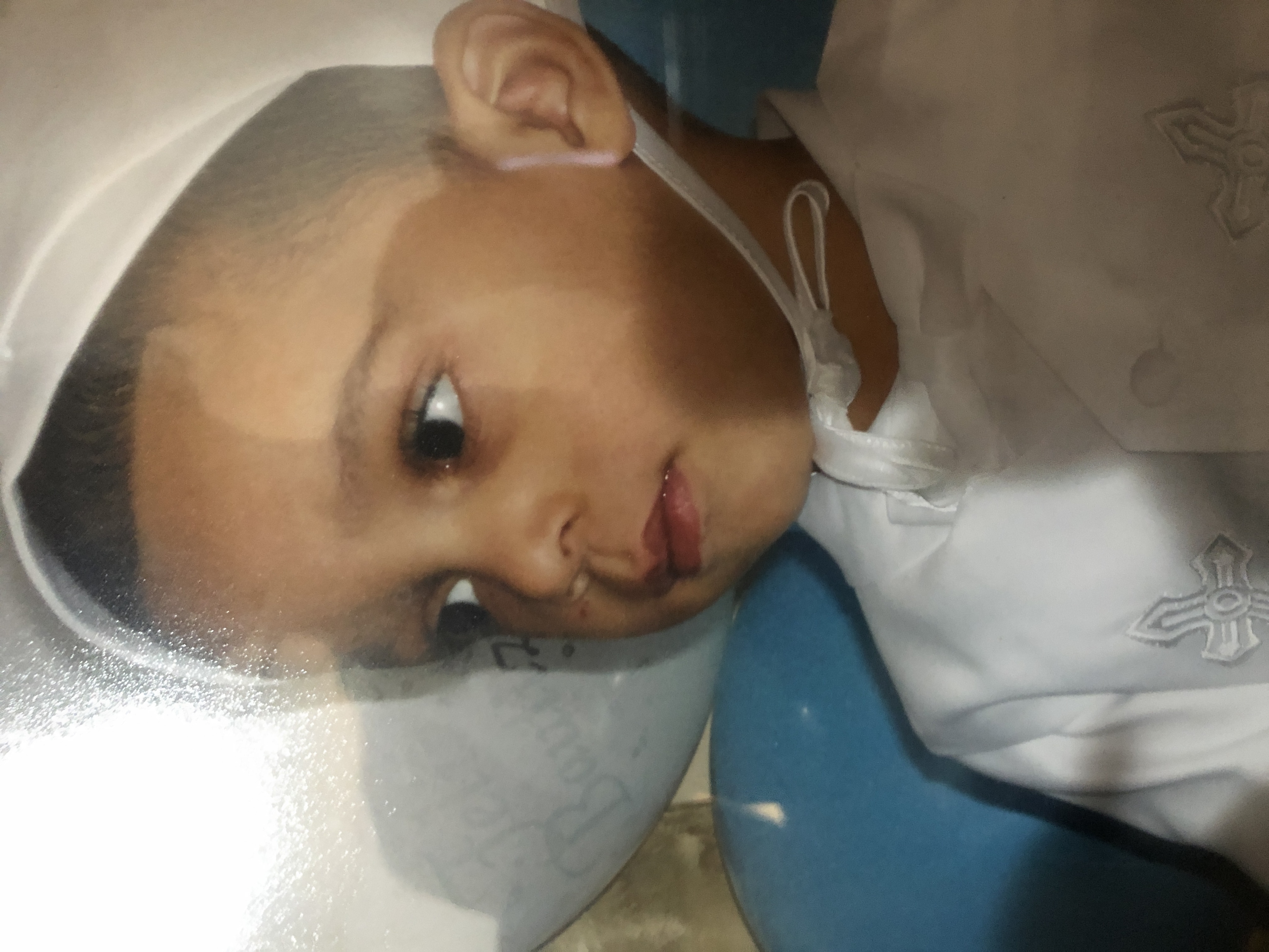 Early Life Image